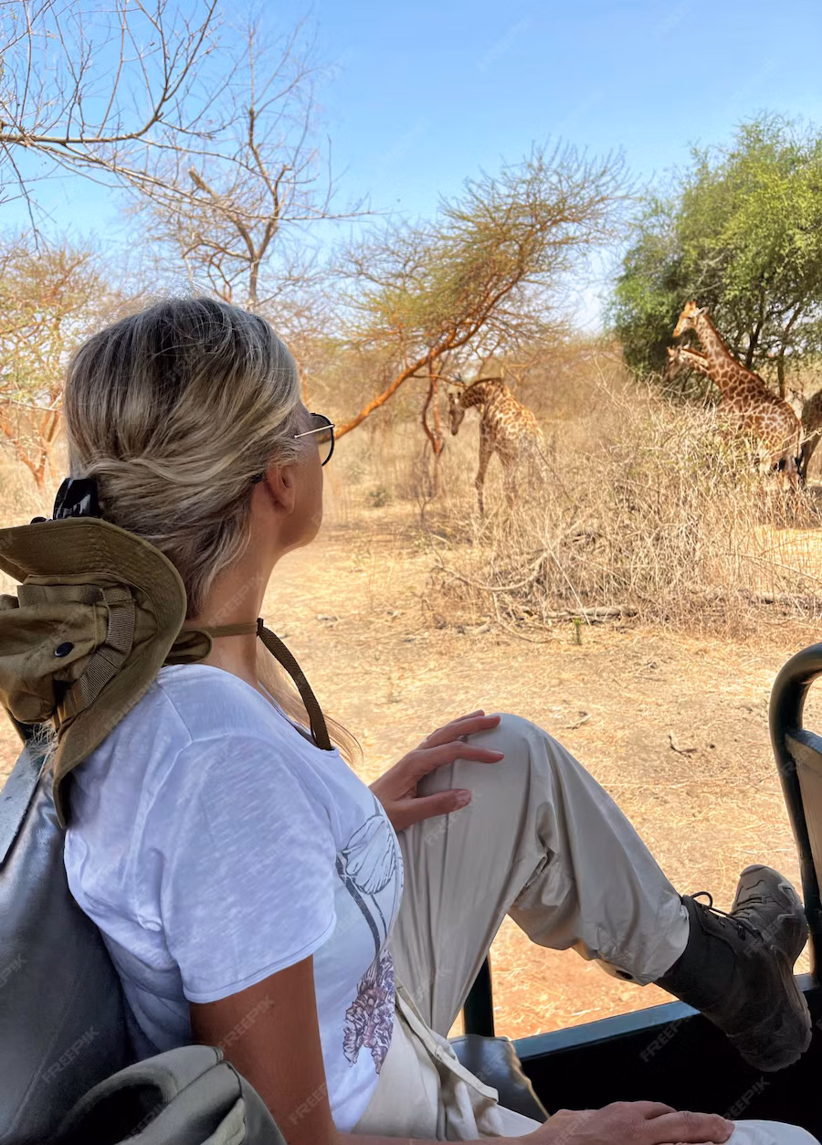 Game Drives