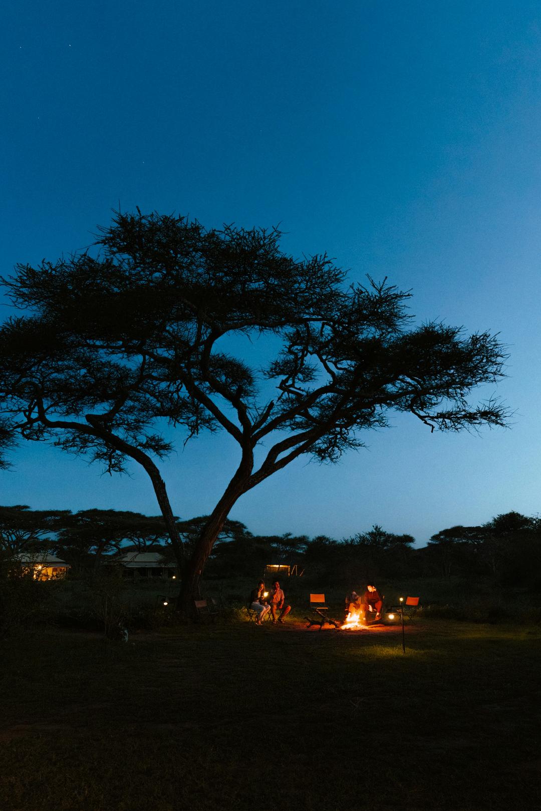 Luxury Tents