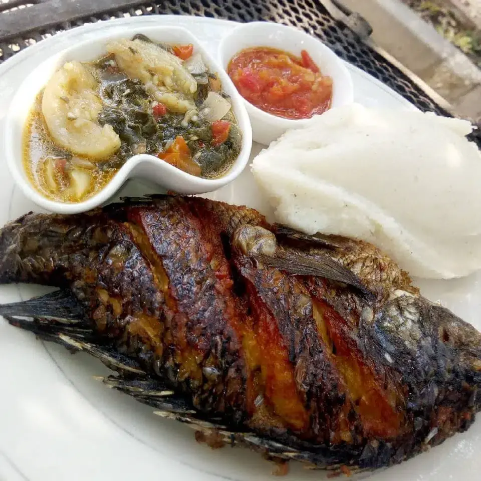 Luangwa Bream
