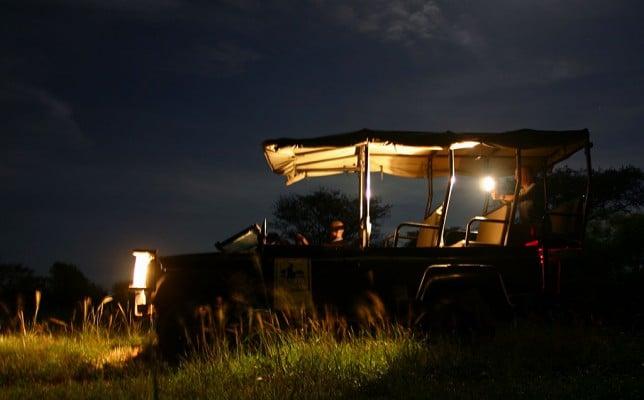 ⁠Night Drives