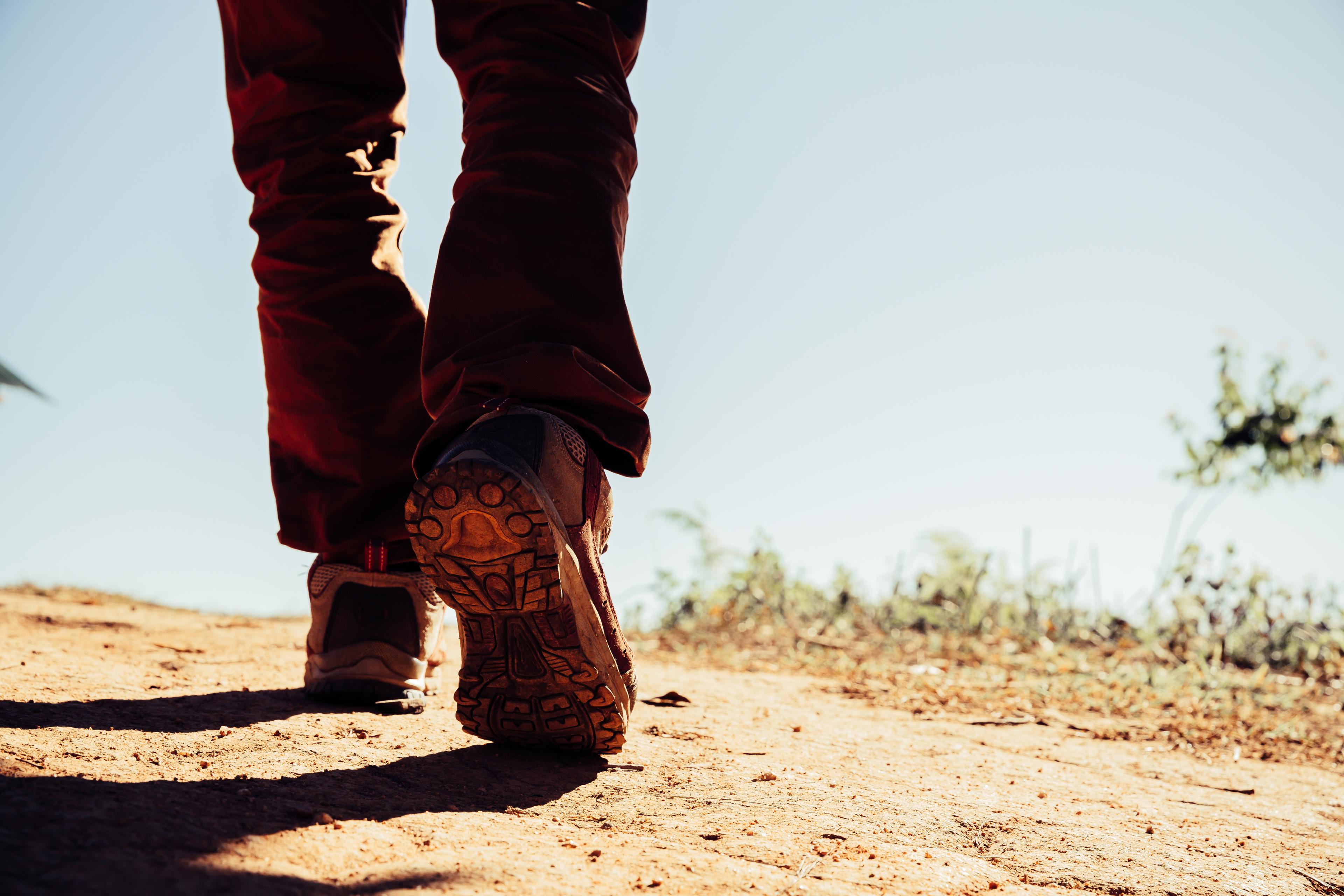 Guided Walking Safaris