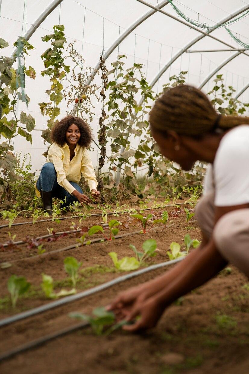 Sustainable Gardening